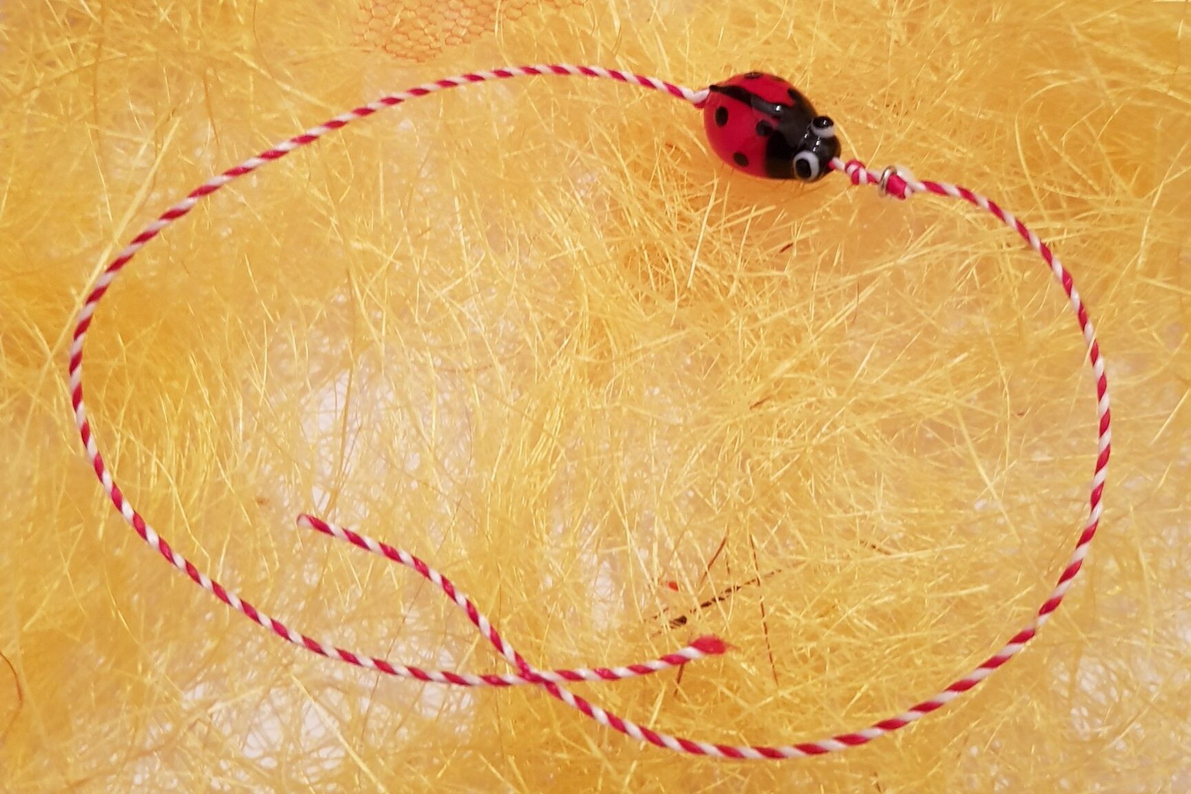 87870174_2495557067361794_2641099239987347456_o