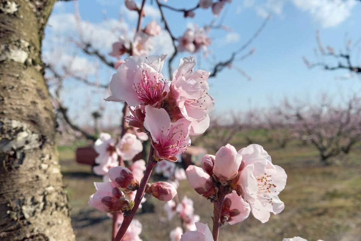 IMG-e94810211c780520a1e4e330fa03b988-V